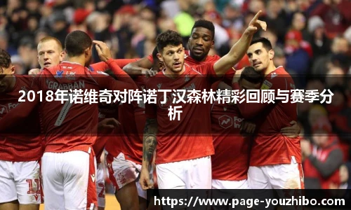 2018年诺维奇对阵诺丁汉森林精彩回顾与赛季分析