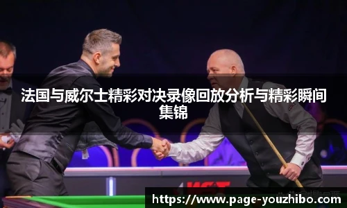 法国与威尔士精彩对决录像回放分析与精彩瞬间集锦